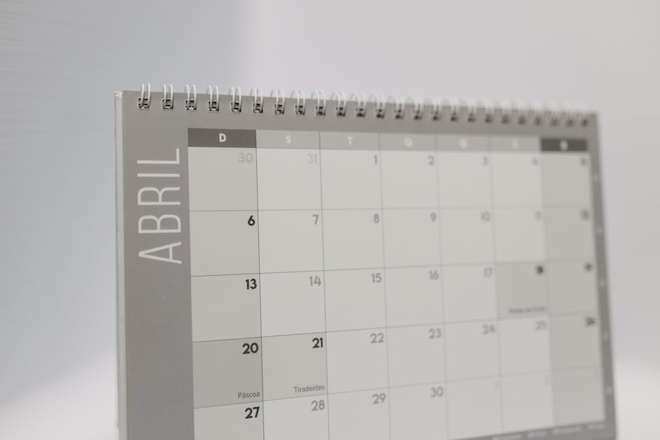 Protecting Your Domain from Expiration Scams